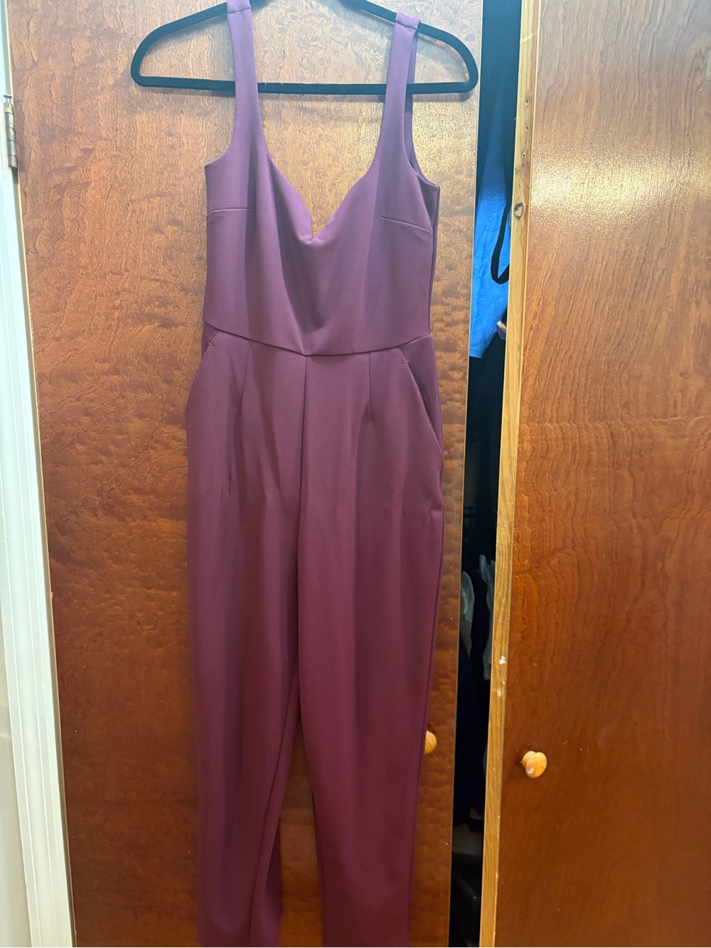 Dynamite Sleeveless V-Neck Jumpsuit in Plum